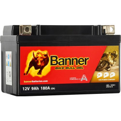 copy of 